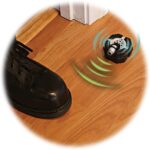 Motion Alarm
